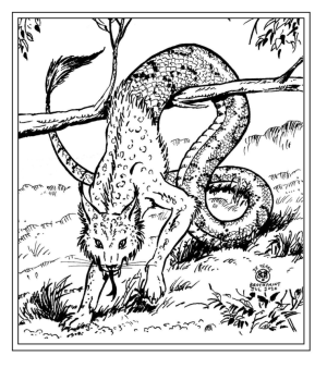 The Tatzelwurm by Brockprint